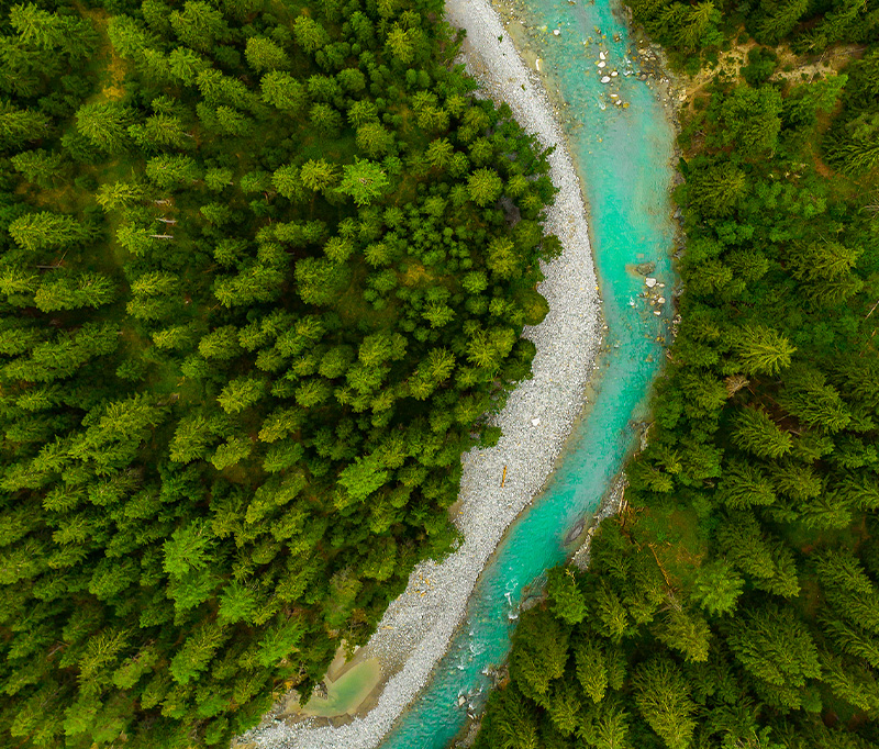 珀萊雅股份可持續發展理念